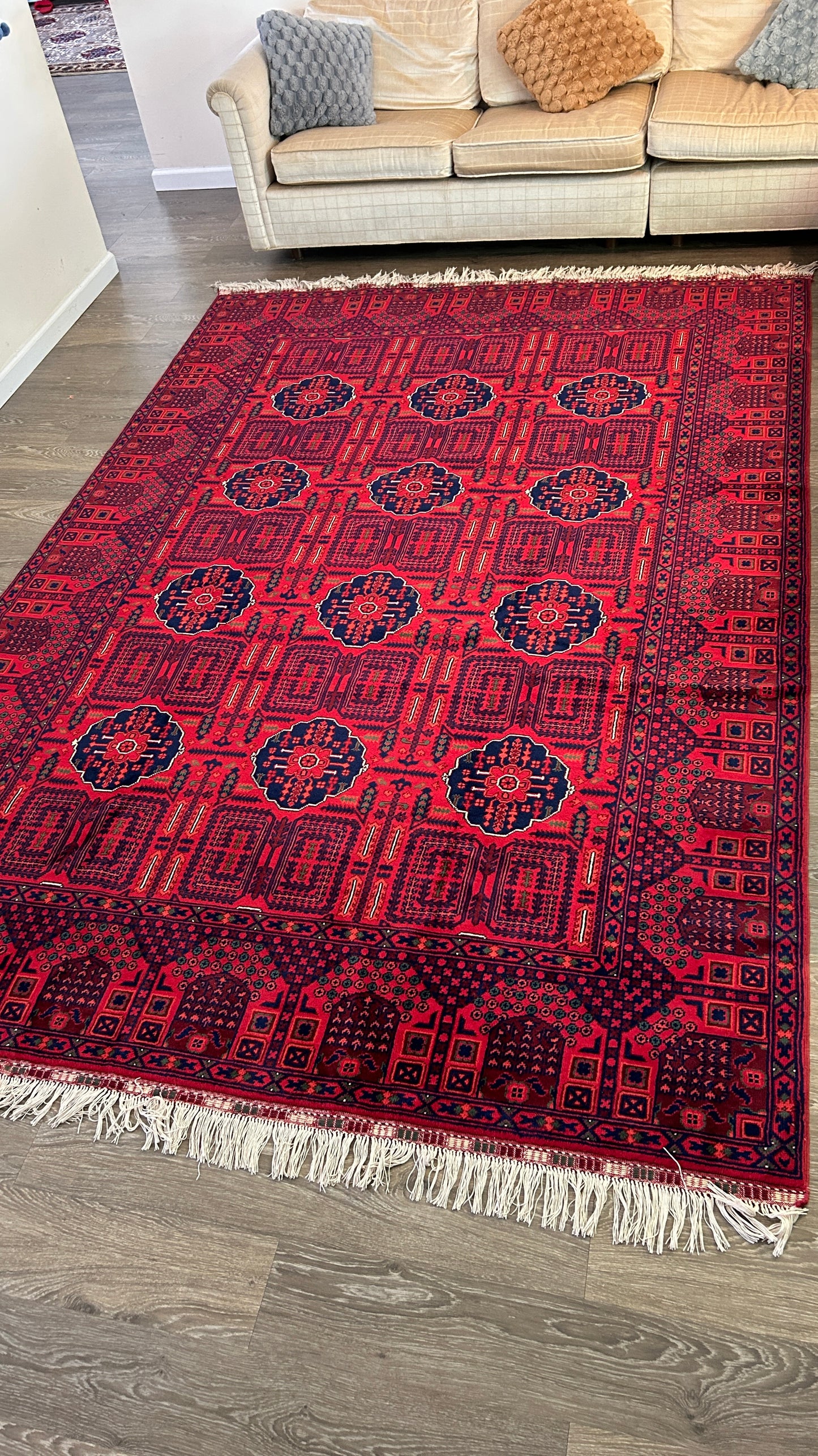 Hand Knotted Rug 6'7" x 10